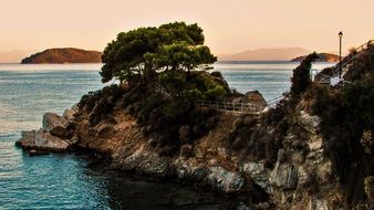 pines on the rock in skiathos