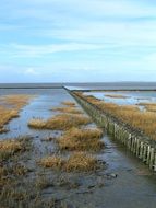 wooden Breakwaters at North Sea Coast, germany, East Frisia