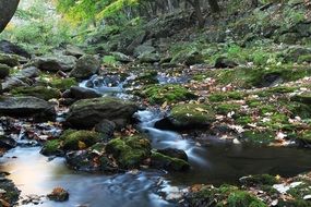 creek in a valley in korea