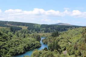 panoramic view of the river among the trees in new zealand