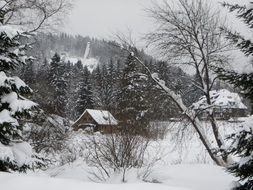 small village in winter forest