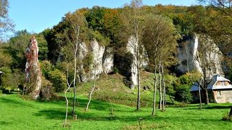 the founding fathers poland autumn trees