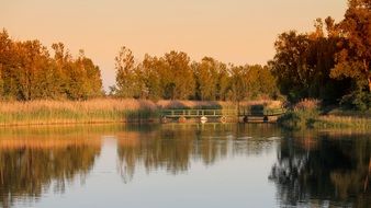 Landscape Trees Lake water reflection