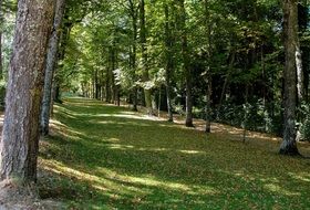 magnificent Green Tree Park