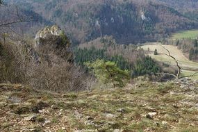 panoramic view of the forest in the Danube Valley