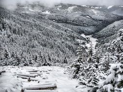 mountain panoramic winter landscape