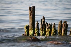 Wooden in Ocean