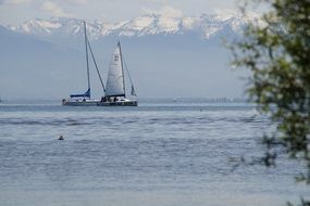 distant view of sailboats on Lake Constance