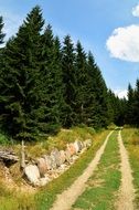 dirt road in the mountains of the Czech Republic