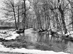 monochrome picture of a river