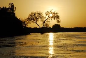 yellow sunset in africa