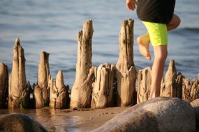 Picture of the wooden on a beach