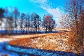 winter landscape of fields and trees, poland