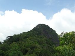 Mountain, Rio De Janeiro