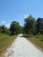 Picture of the Walking Path