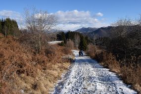 landscape of people walk on white snow on a rural road