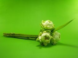 Lotus Decoration