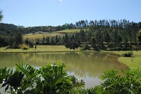 Natural Paradise