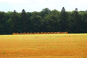 distant view of an even row of straw bales on a field