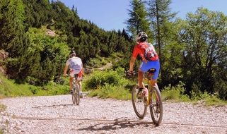 tourists on Bicycles Mountain forest scene