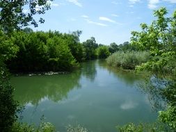 pleasant Nature Forest