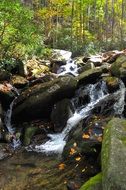 waterfall on a stream in the forest