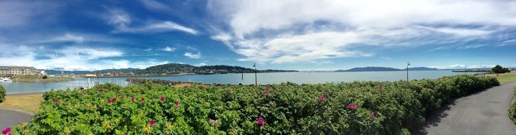 panoramic view of the picturesque pacific coast