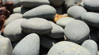 grey pebbles on ground