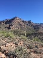 stone Desert Cactus Arizona landscape