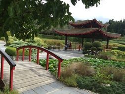 landscape of Bridge in Japanese Garden