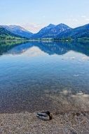 reflection of mountains in a clear lake