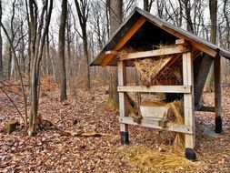 feed gazebo for animals in the forest