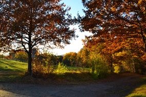 shadow from colorful trees in the colors of autumn
