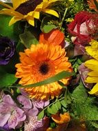 Sun Flower Mixed