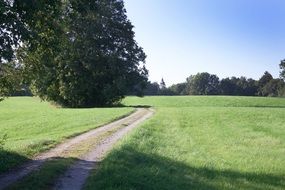 road through the field