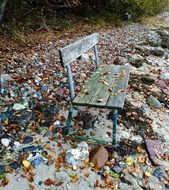 bench in the autumn leaves