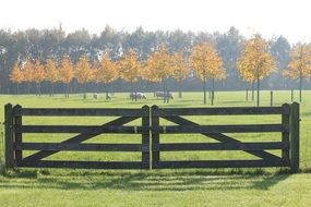 Autumn Sheep Fence Pasture