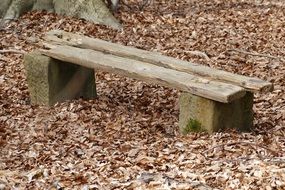 bench among brown autumn foliage in the forest