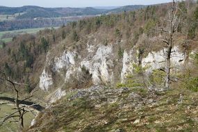 panorama of a forest on the rocks above the Danube Valley