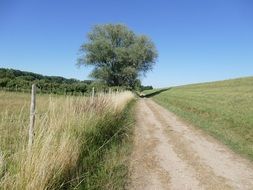 Landscape Lane