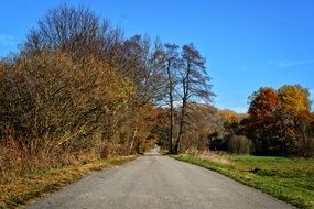 Trees Autumn Road blue Sky scene