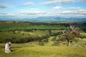 Landscape Hills