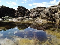 Rock Pools