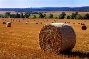 straw bales on the field
