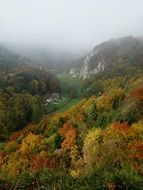 The Founding Fathers forest landscape