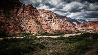 brown Nature Landscape