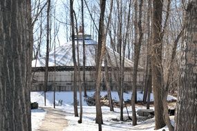traditional dwelling in mongolia among trees