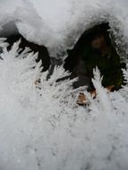 frozen water