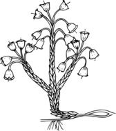 drawing of a forest flower