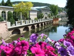 Flowers on the bridge